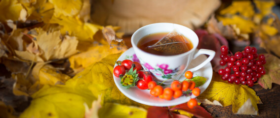 Canvas Print - autumn still life with a cup of tea