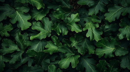 Wall Mural - Green leaves pattern background