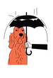 Caring For A Stray Irish Setter Dog By Protecting With An Umbrella From Rain, Adopting, and Fostering a Homeless Animal, Animal Rescue