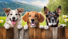 Smiling Cute Dogs Of Different Breeds Peek Out From Behind A Wooden Fence Banner With Animals Generative Ai