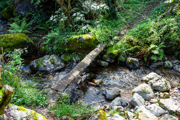 Wall Mural - travel to georgia - old wooden board like bridge over mountain stream in ravine in mirveti village i