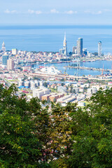 Sticker - travel to Georgia - green trees and above view of Batumi city port from Sameba hill on background on sunny autumn day