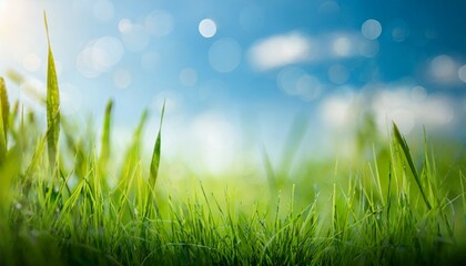 Wall Mural - world environment day concept green grass and blue sky abstract background with bokeh