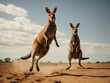 Jumping kangaroo and upright kangaroo