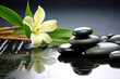 Wellness green balance therapy flower stones background pebble relaxation nature spa zen black