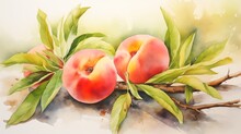Two Peaches Branch Leaves Historic Artworks Society Natural Sensuality Realistically Shading Hand Tinted Summer
