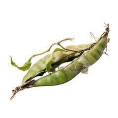 Poster - front view of a spoil rotten snow pea vegetable isolated on a white transparent background 