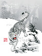 Growling Tiger in the Bamboo Forest. Text - 