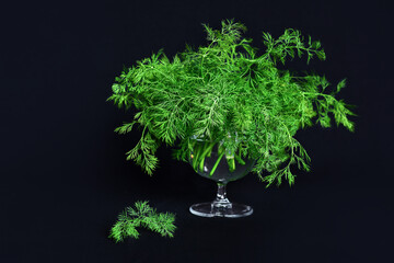 Wall Mural - a bunch of dill in a transparent glass on a black background, no people, close-up, minimalism