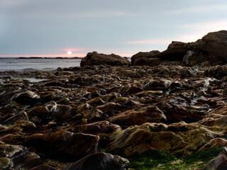 Wall Mural - Rocky beach at sunset