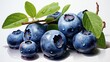 Watercolor blueberries isolated on a white background