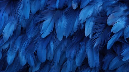 Poster - Blue feathers texture background