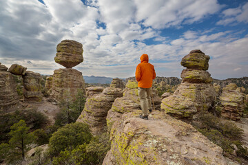 Canvas Print - Chiricahua