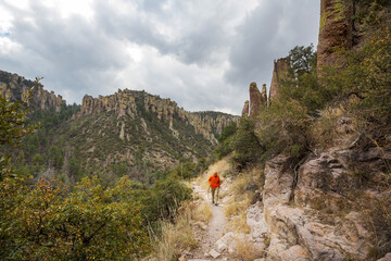 Canvas Print - Chiricahua