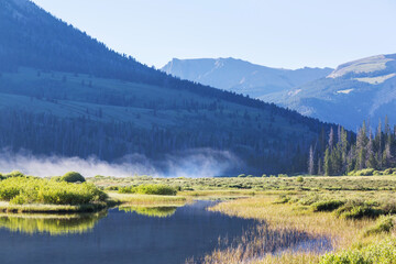 Canvas Print - Mountains meadow