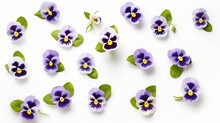 Viola Pansy Flower Set. Violet Spring Flowers And Leaves Collection Isolated On White Background. Creative Layout. Floral Design Element. Springtime And Easter Concept. Top View, Flat  : Generative AI