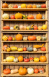 Different shape, size and color pumpkin wooden display on the harvest festival. Concept of Halloween, autumn symbol, pumpkins for decoration, unusual vegetable competition, vitamin and healthy eating