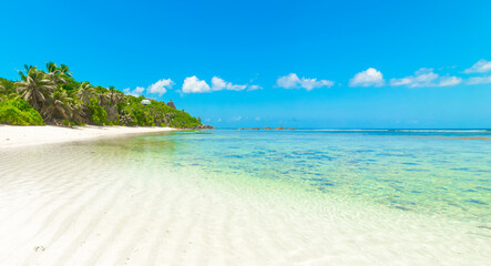 Wall Mural - White sand and turquoise water in Anse Forbans beach