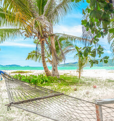 Wall Mural - Hammock in a tropical beach