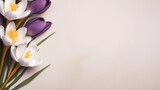 Fototapeta Tulipany - Spring, Easter floral concept. White and violet crocuses, saffron flowers on beige cardboard, table background. Minimal natural composition, web banner. Flat lay, top, copy space