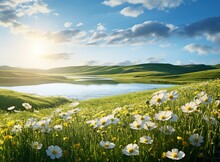 Meadow With White Wildflowers Cosmos In Sun Glare Against Blue Sky With Clouds, Green Hills And Lake, Summer Idyllic Landscape Image Generative AI