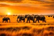 elephants at sunset, Elephants, Herd, Pachyderms image. Elephants, known for their wisdom and strength, gather in a vast, open savanna