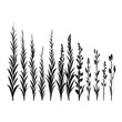 Vector Illustration of Grass