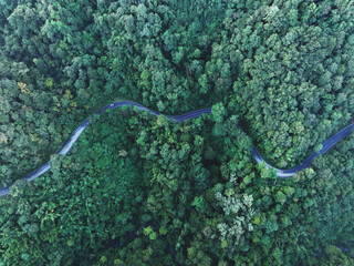 Poster - Road in the middle of the forest , road curve construction up to mountain, Rainforest ecosystem and healthy environment concept	
