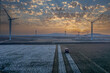 Türkiye / Izmir Menemen plain 06 September 2023 The last hours of the day. Cotton fields and cotton picking vehicle at sunset.​