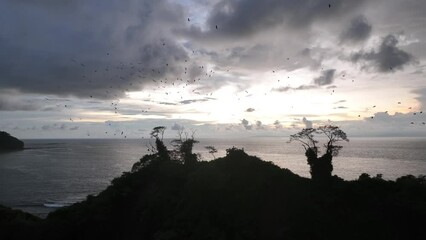 Wall Mural - Pristine Beaches and Breathtaking Wildlife: Exploring the Natural Wonders of Punta Leona, Costa Rica.