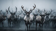 Reindeer herd standing near the fog on a meadow in the winter.