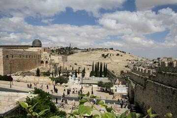 Wall Mural - A view of the Jerusalem walls