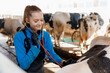Woman Veterinarian doctor control health of cow with phonendoscope, checking pregnancy of Cattle on farm livestock. Concept vet medical agriculture industry