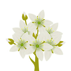 Wall Mural - Fresh venus flytrap flowers on a white background.
