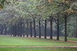 landschaft mit bäumen im schlosspark charlottenburg