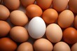 A white egg is surrounded by a cluster of brown eggs. Perfect for illustrating diversity, uniqueness, or standing out from the crowd