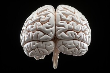 Poster - A model of a human brain placed on a black background. Can be used for educational purposes or in medical presentations