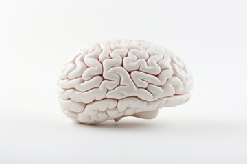 Poster - A white model of a brain on a white surface. Can be used for educational purposes or in medical presentations