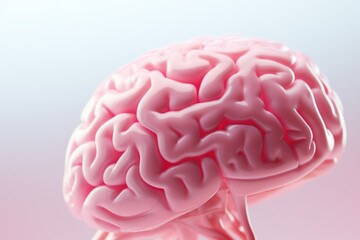 Poster - A pink model of a human brain. Ideal for educational purposes or medical presentations