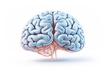 Poster - A computer generated image of a brain, perfect for scientific and medical presentations