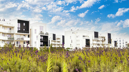 Wall Mural - Modern new residential buildings and agricultural fields