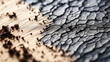 Abstract background of cracked paint on a wooden surface. Macro shot.  