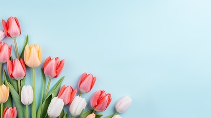 Sticker - Beautiful spring tulips and space for text on light blue background