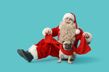 Wall Mural - Santa Claus and French bulldog with scarf on blue background