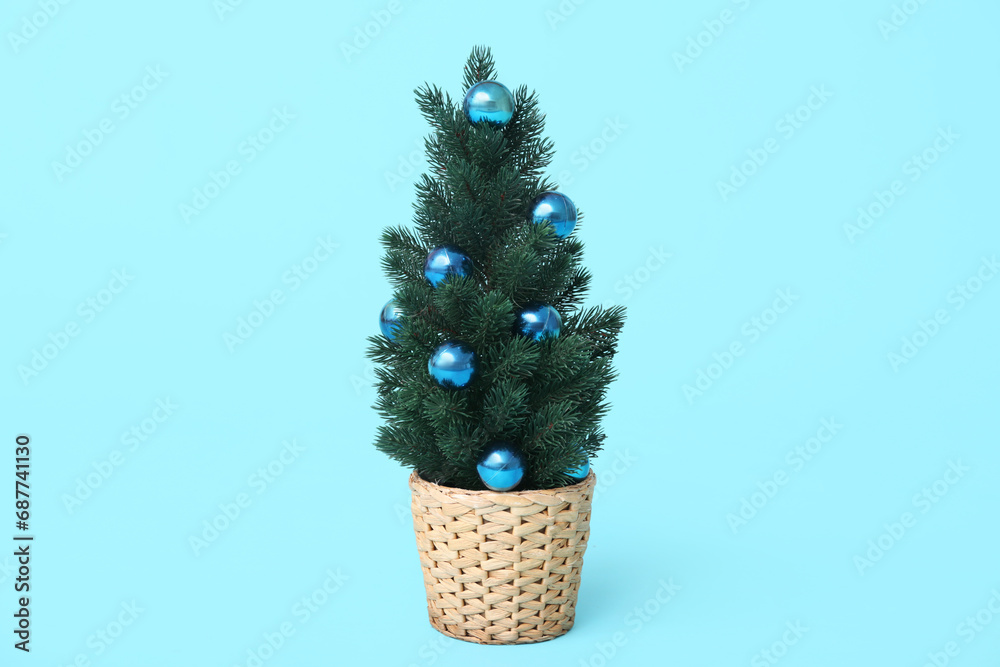 Beautiful Christmas tree in pot on blue background