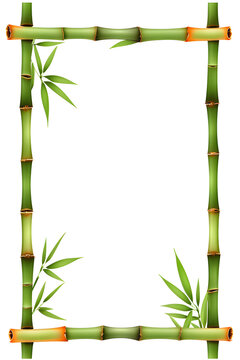 Bamboo Border Frame Illustration Ai Generative