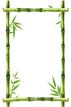 Bamboo Border Frame Illustration Ai Generative