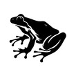 Frog Logo Monochrome Design Style