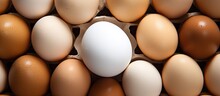Contrasting White Egg In Brown Egg Carton