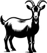 Nubian Goat icon 6